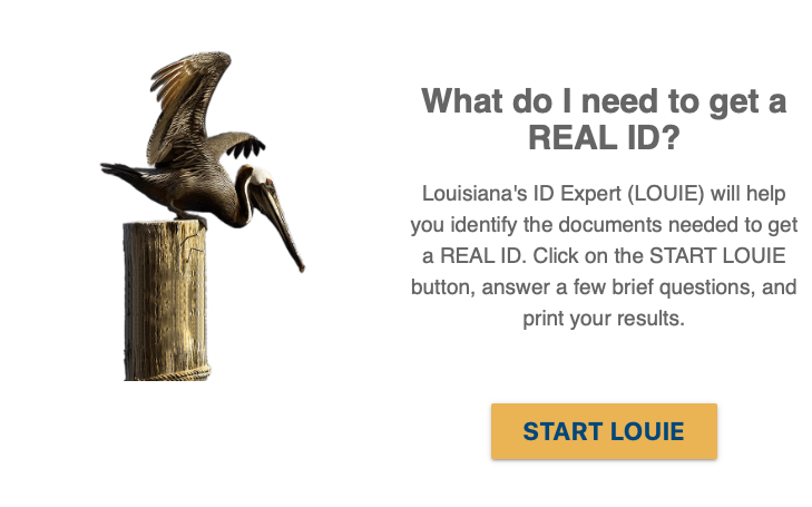 LOUIE - Louisiana Real ID Expert