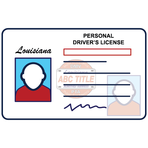 Driver License Icon