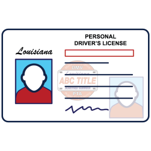 Scaryfast Driver License Services